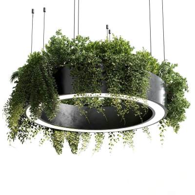 现代植物吊灯-4